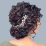 Hairstyles for Curly Hair Prom