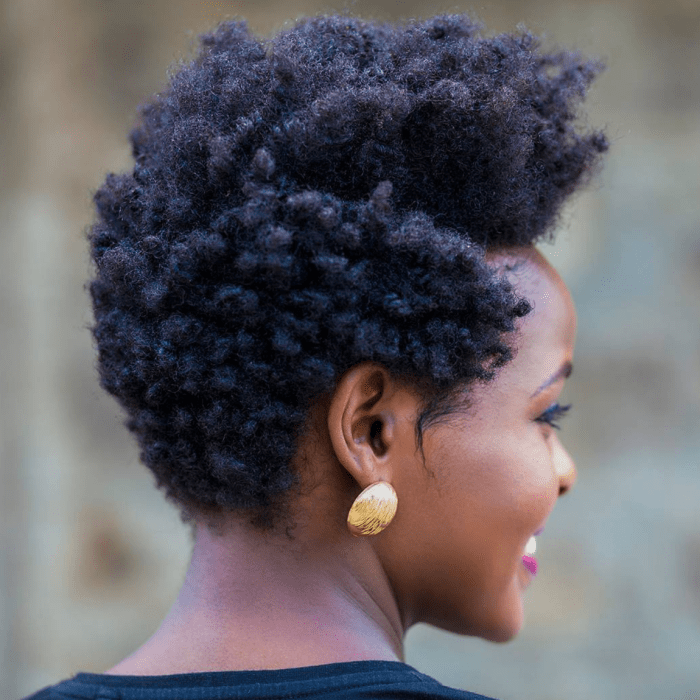 Hairstyles for 4c short hair